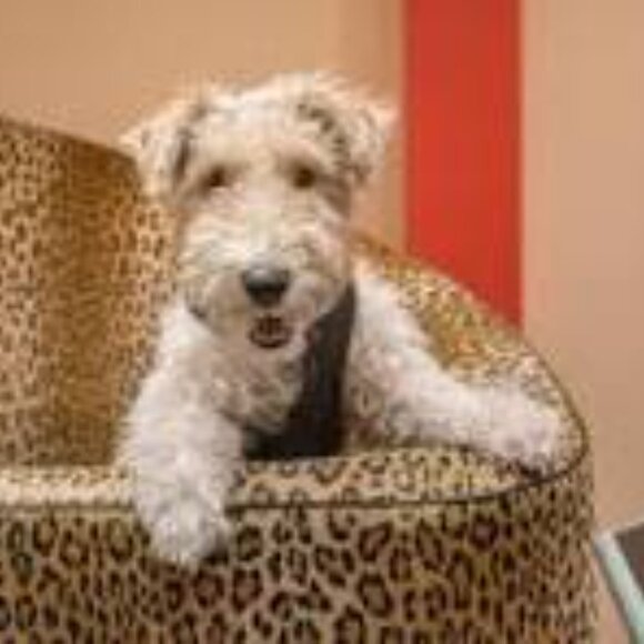 Warren Edwards ~Hand Made in Italy Zebra Animal Print Suede Heels in size 8.5 - Picture 14 of 15